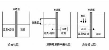 ro膜是什么？為什么說它是凈水器的靈魂？