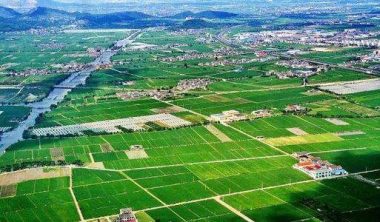 農業(yè)農村部 國家鄉(xiāng)村振興局：《社會資本投資農業(yè)農村指引（2021年）》